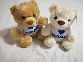 Teddy bear heart SAAB logo