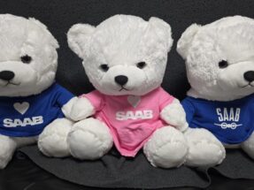 Bear big